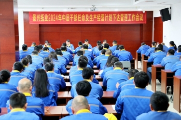 开拓创新 铿锵前行|亚搏app登陆召开2024年中层干部任命及生产经营计划下达管理工作会议