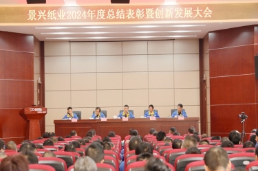 乘风破浪 逐梦前行 | 亚搏app登陆2024年度总结表彰暨创新发展大会隆重召开