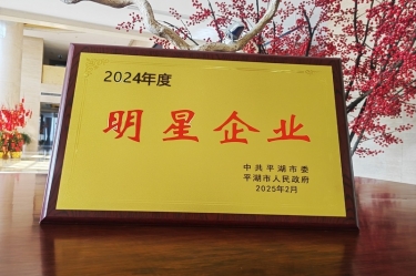 新春新景新气象 | 亚搏app登陆在平湖三干大会上喜摘荣誉！