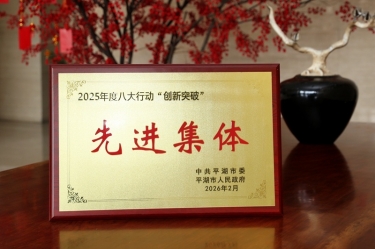 策马扬鞭启新程！亚搏app登陆在平湖市三级干部大会上荣获“创新突破”双项荣誉